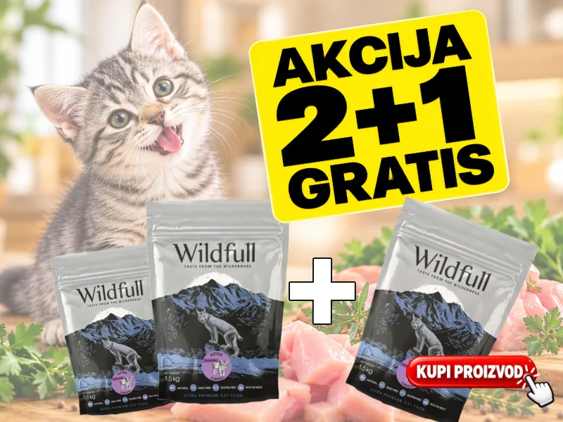 Akcija Wildfull Kitten 2+1