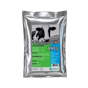 Rumigest prašak - 100g