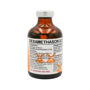 Dexamethason 2g / 100ml