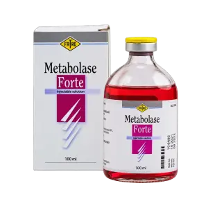 Metabolase Forte A  - 100ml
