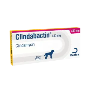 Clindabactin