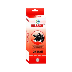 Nilzash Bolus
